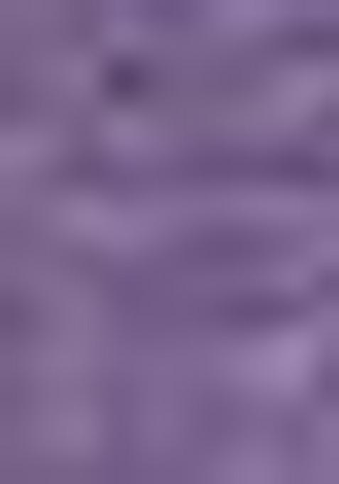 Purple Zari Work Brasso Saree Set