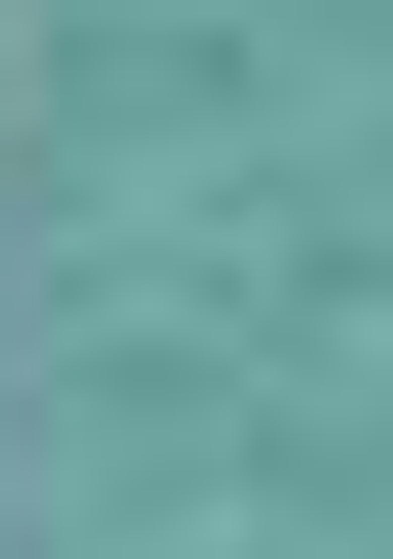 Sky Blue Zari Work Brasso Saree Set