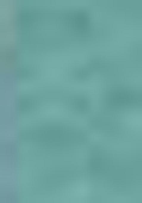 Sky Blue Zari Work Brasso Saree Set