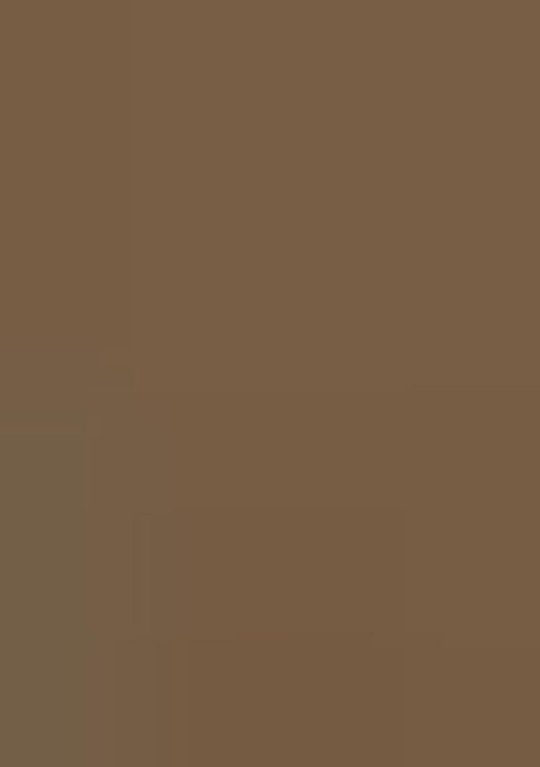 Green Zari Work Brasso Saree Set