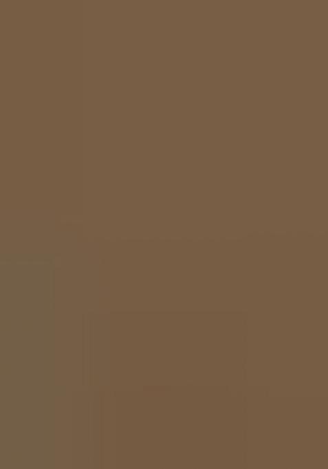 Green Zari Work Brasso Saree Set