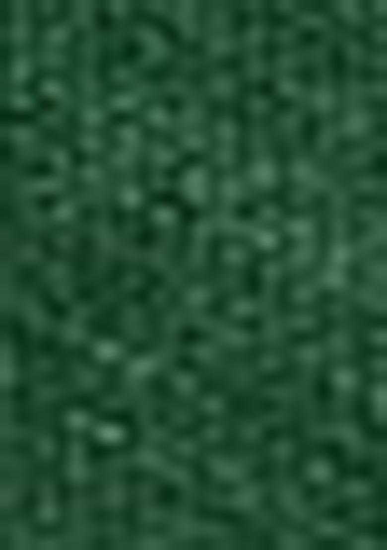 Green Handloom Khadi Cotton Silk Saree Set