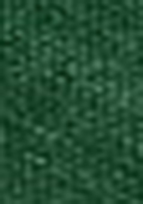 Green Handloom Khadi Cotton Silk Saree Set