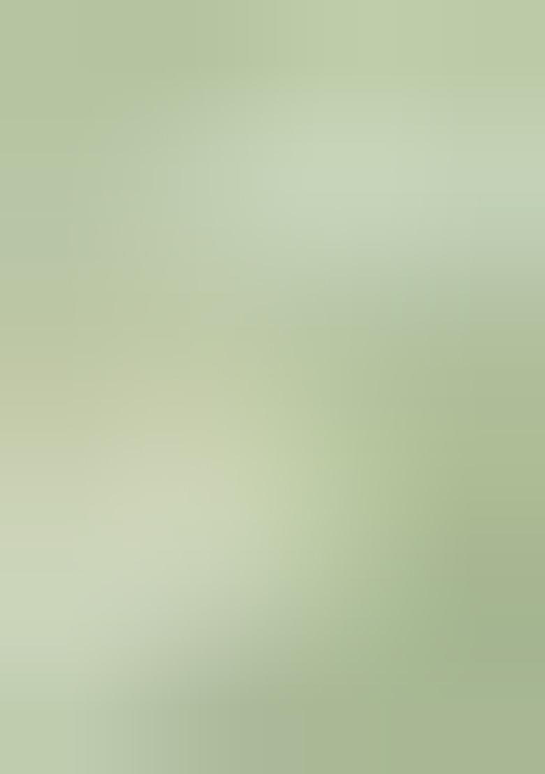 Light Green Embroidery Work Soft Crush Georgatte Saree Set