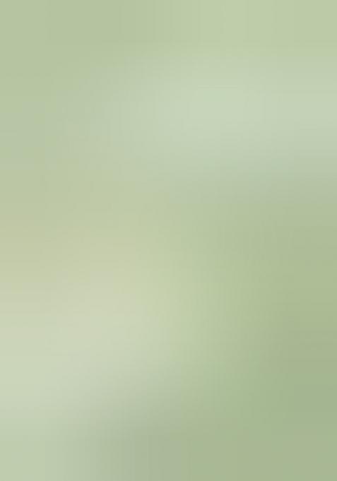 Light Green Embroidery Work Soft Crush Georgatte Saree Set