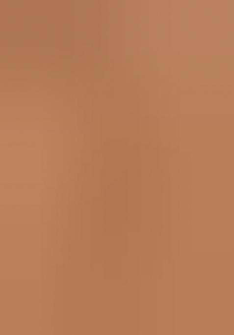 Brown Embroidery Chanderi Saree With Blouse