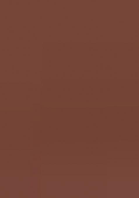 Brown Embroidery Silk Saree With Blouse