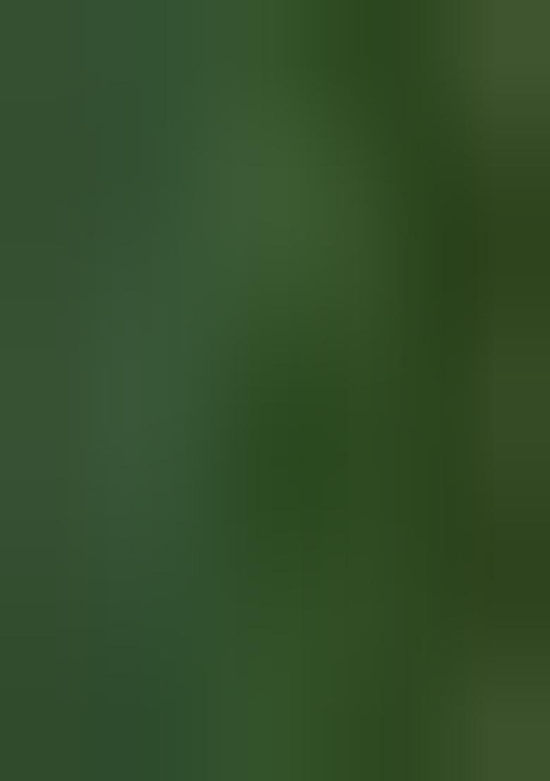 Green Embroidery Silk Saree With Blouse