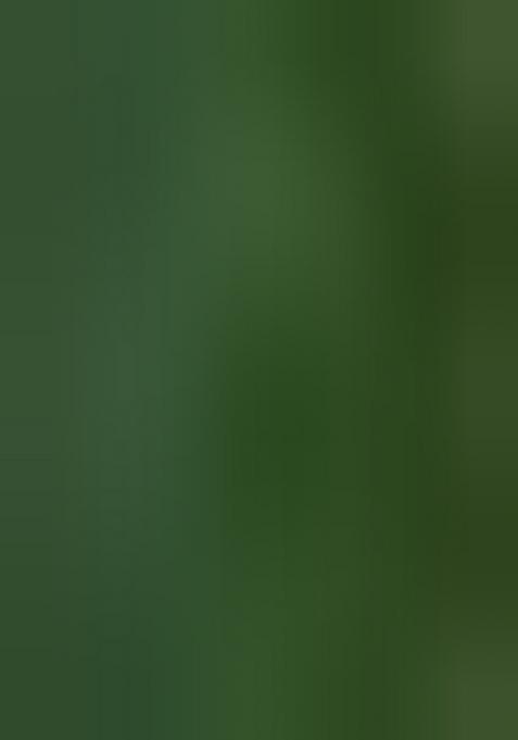 Green Embroidery Silk Saree With Blouse