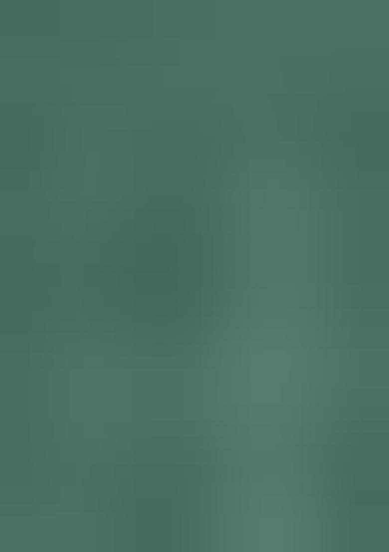 Green Embroidery Chiffon Saree With Blouse