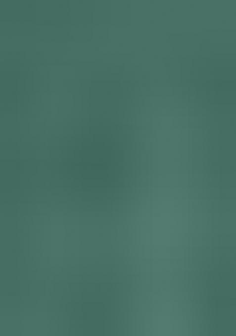 Green Embroidery Chiffon Saree With Blouse