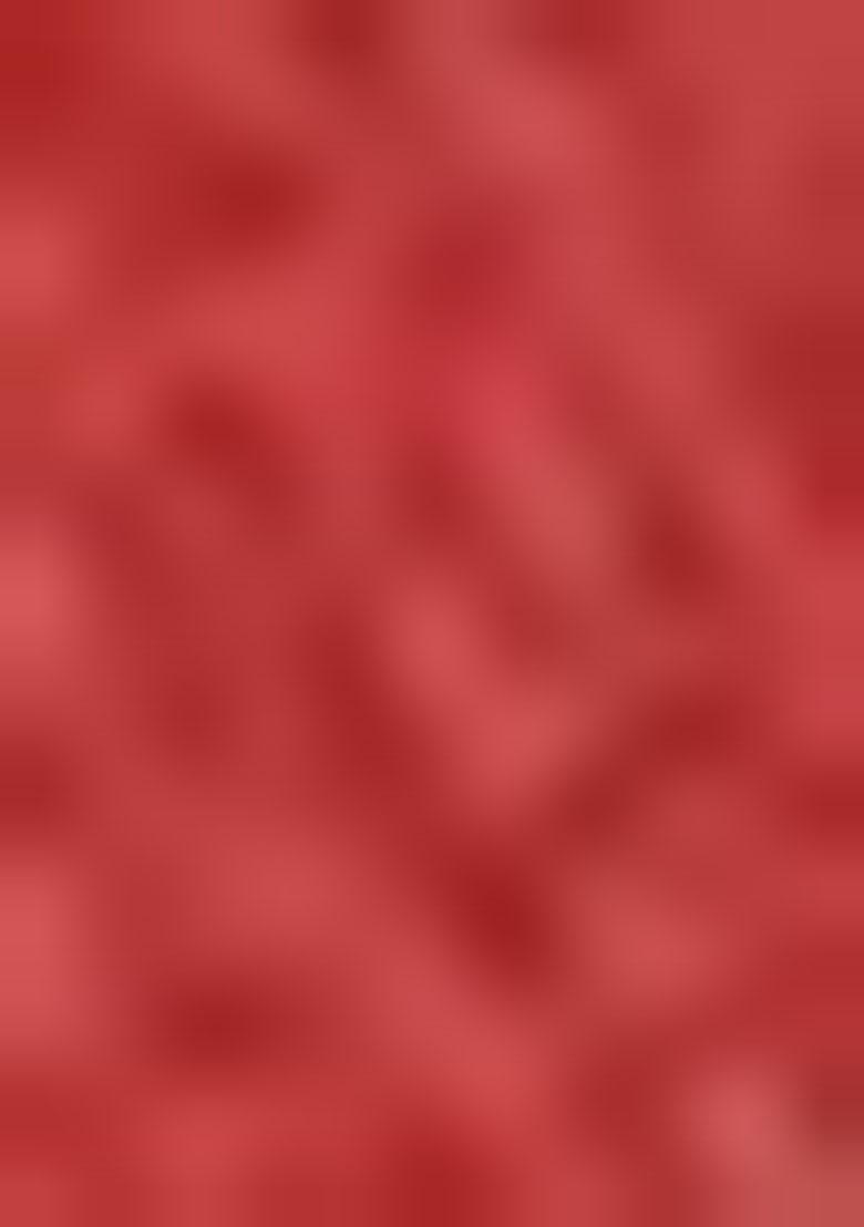 Multicolor Embroidered Cotton Blend Saree Set