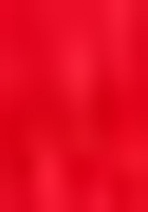 Red Embroidered Net Saree Set