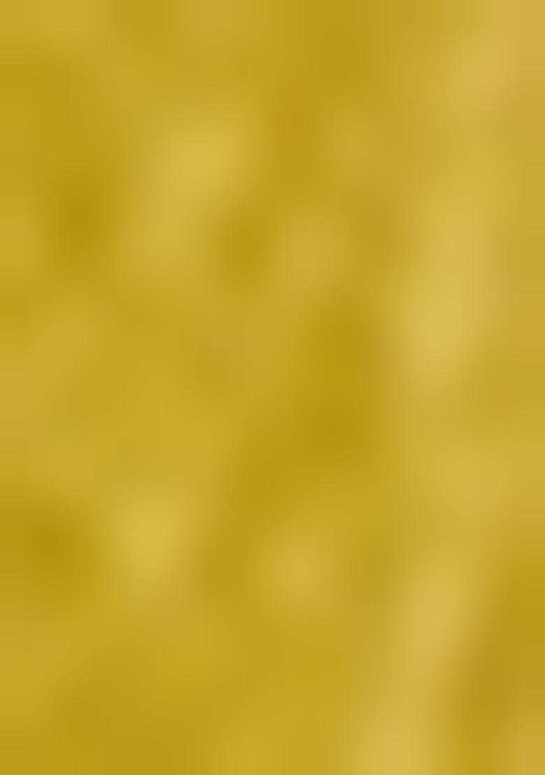 Lime Embroidered Cotton Blend Saree Set