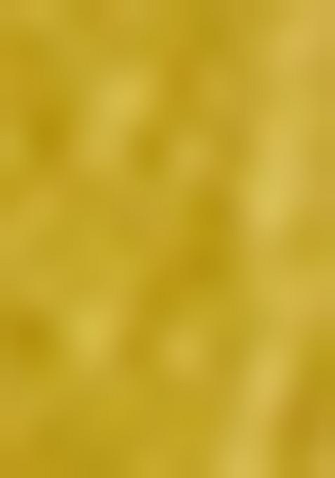 Lime Embroidered Cotton Blend Saree Set