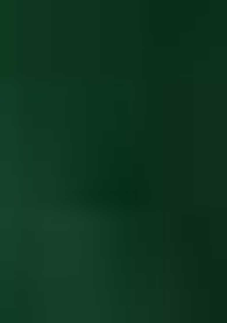 Mehandi Embroidered Silk Saree Set