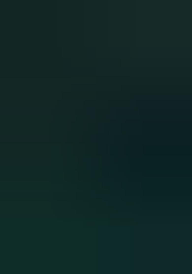 Mehandi Embroidered Silk Saree Set