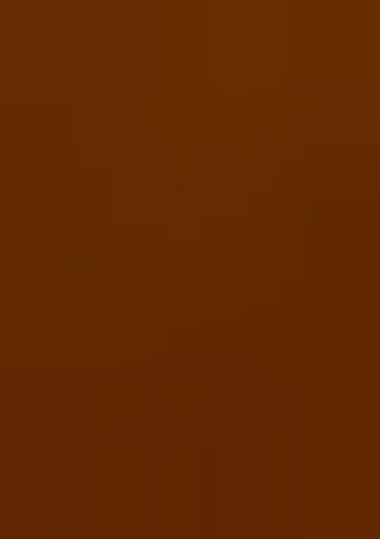 Caramel Embroidered Silk Saree Set