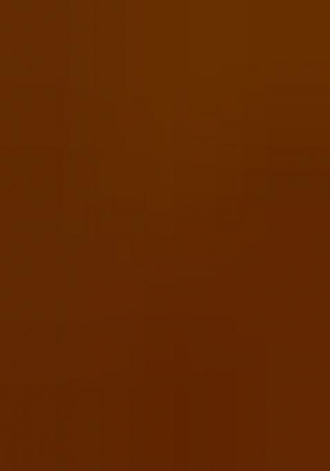 Caramel Embroidered Silk Saree Set