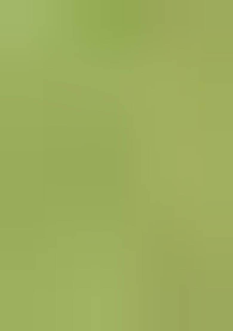 Pista Green Embroidered Silk Saree Set