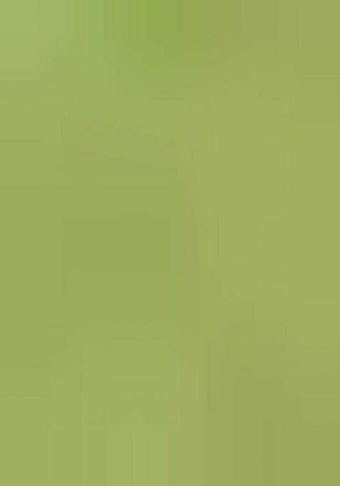 Pista Green Embroidered Silk Saree Set