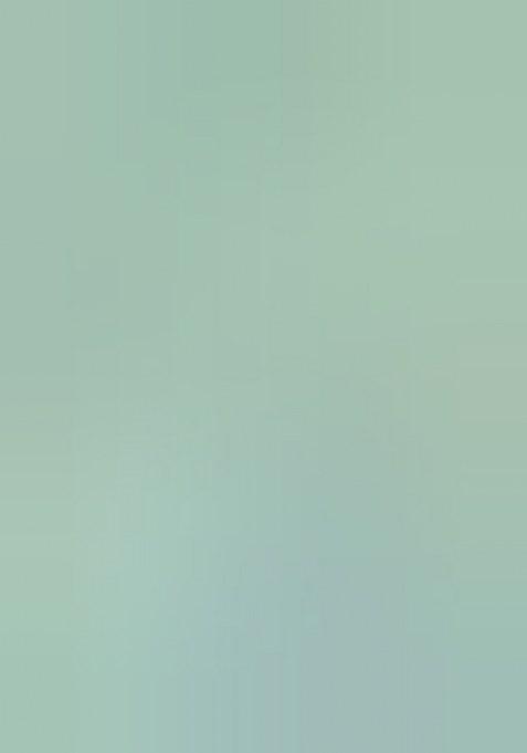 Sea Green Embroidered Twill Net Saree Set