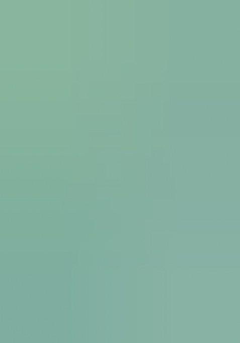 Teal Embroidered Net Saree Set