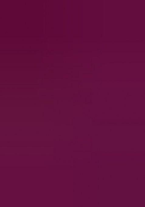 Wine Embroidered Net Saree Set