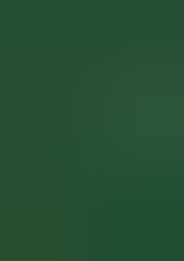 Green Embroidered Silk Saree Set