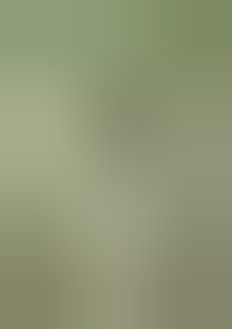 Multicolor Embroidered Cotton Blend Saree Set