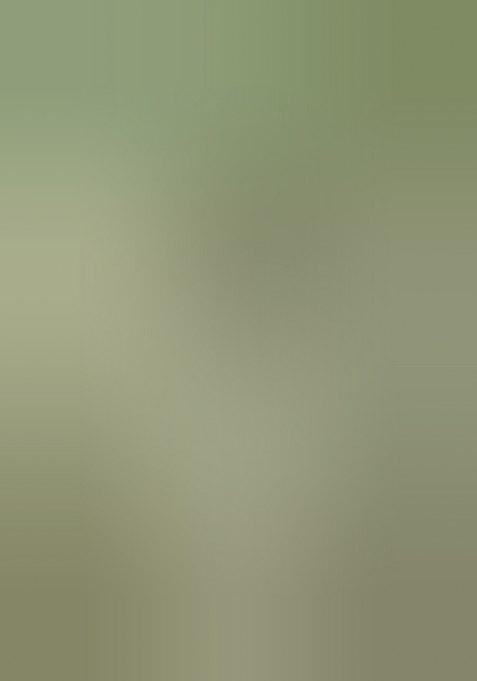 Multicolor Embroidered Cotton Blend Saree Set