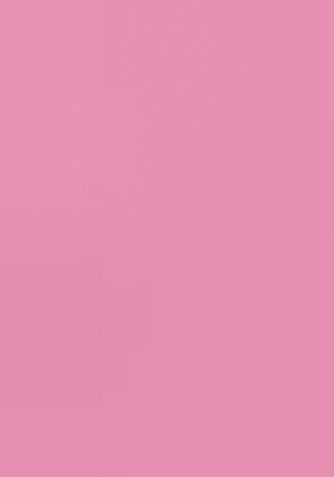 Light Purple Embroidered Heavy Satin Chiffon Saree Set