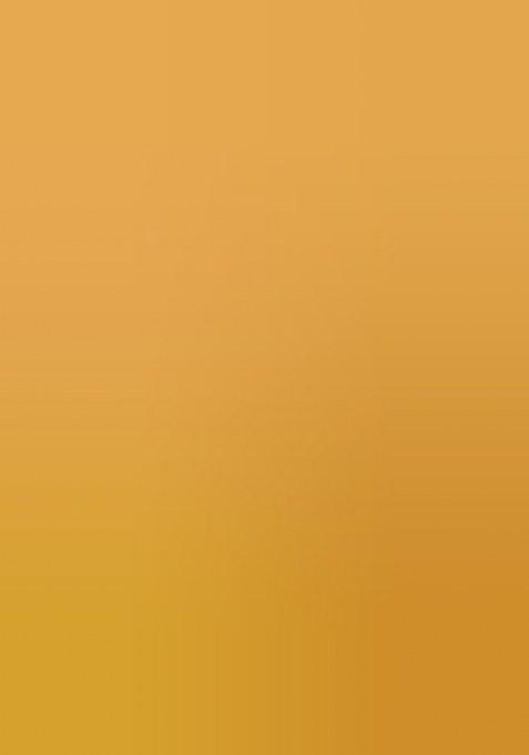 Multicolor Embroidered Moss Chiffon Saree Set