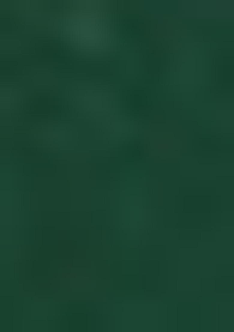 Bottle Green Embroidered Silk Saree Set - Indya