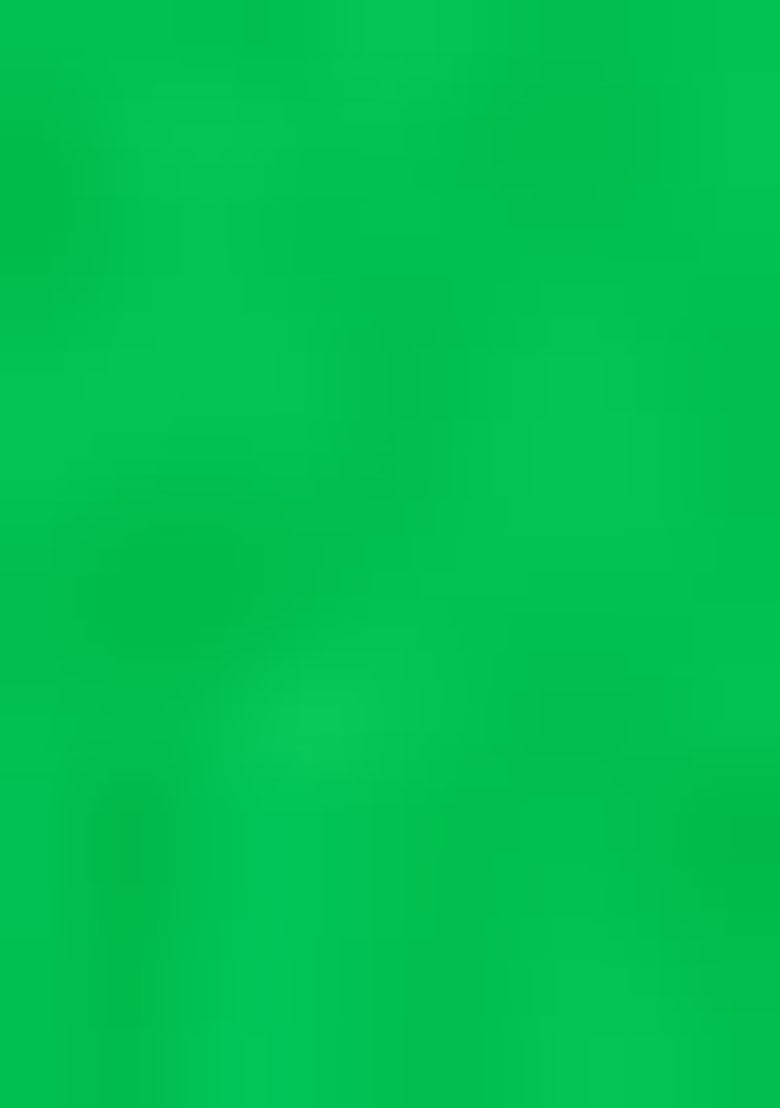 Perot Green Embroidered Georgette Saree Set