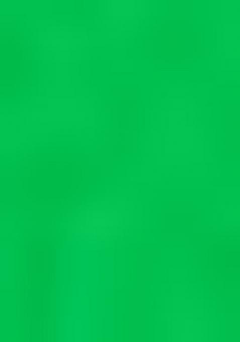 Perot Green Embroidered Georgette Saree Set