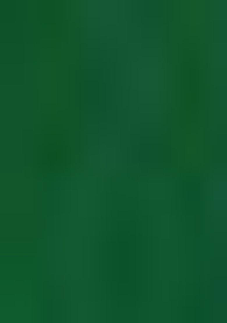 B Green Embroidered Silk Saree Set - Indya