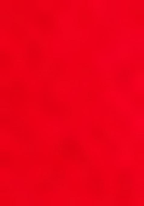 Red Embroidered Georgette Saree Set