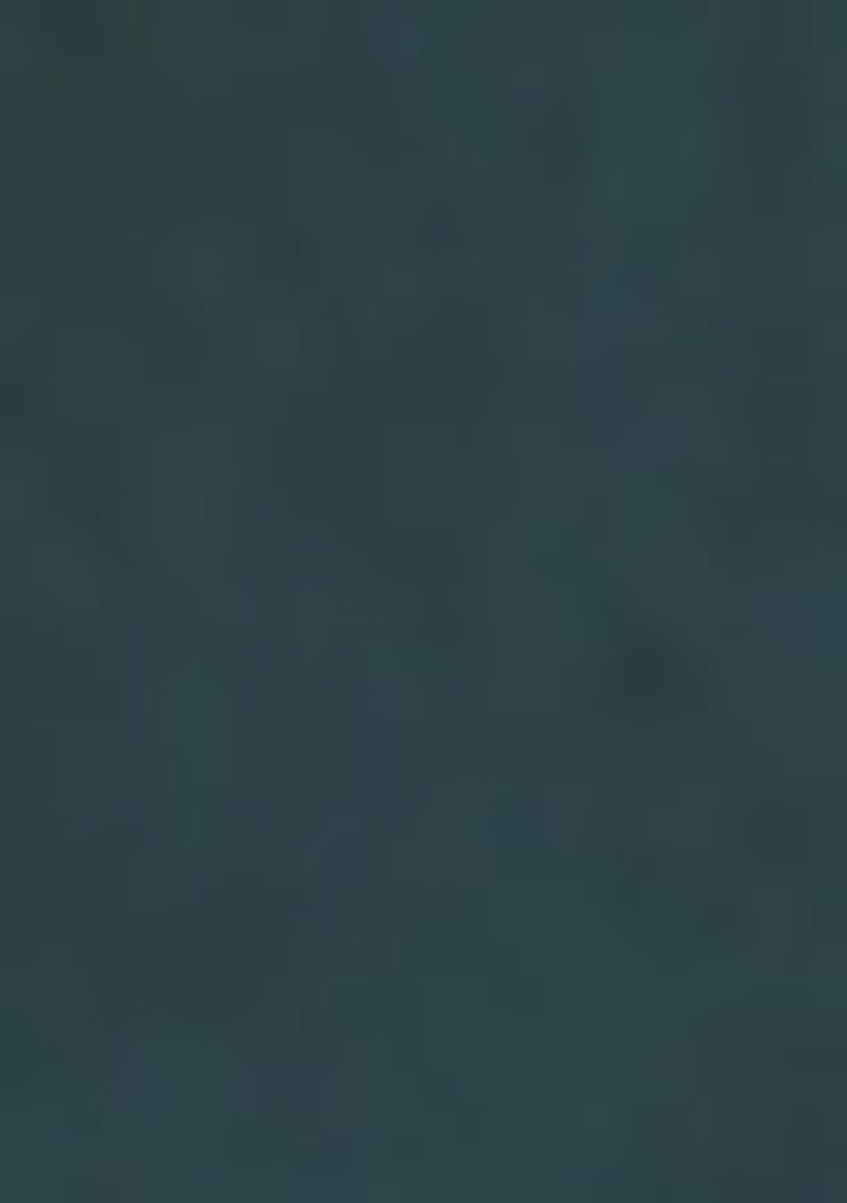 Morpeach Embroidered Silk Saree Set - Indya