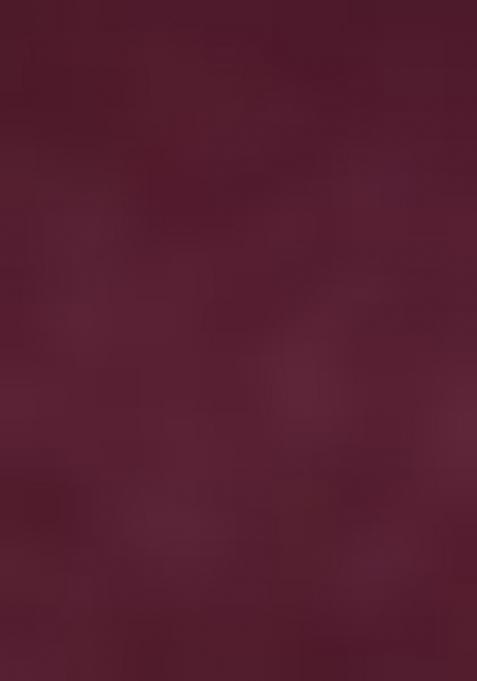 Wine Embroidered Silk Saree Set