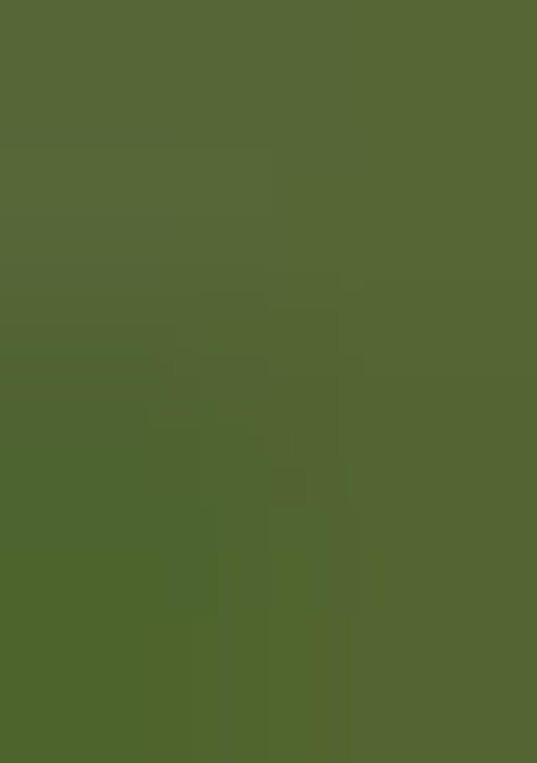 Mahendi Printed Silk Saree Set