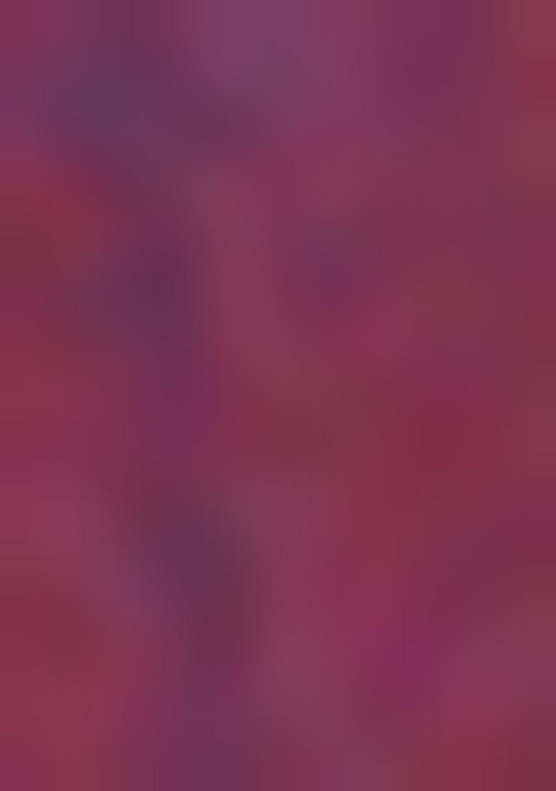 Wine Solid Silk Saree Set