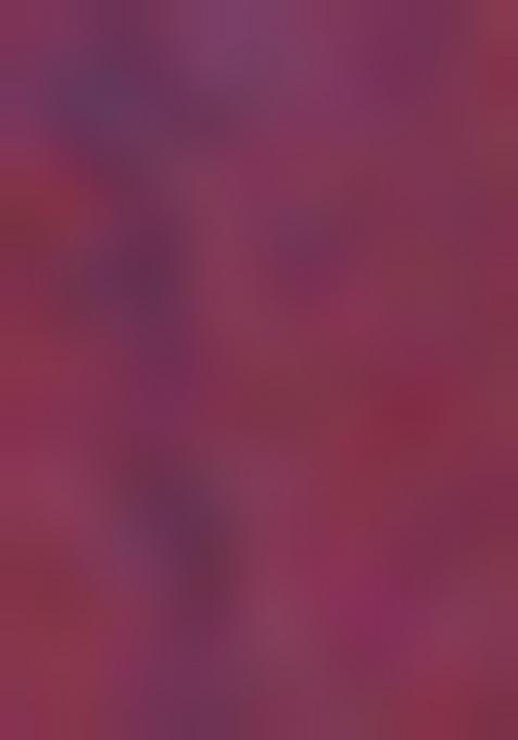 Wine Solid Silk Saree Set