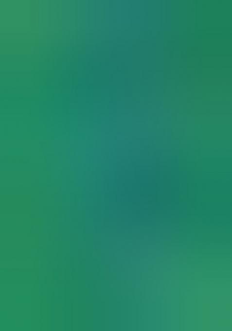 Green Solid Silk Saree Set