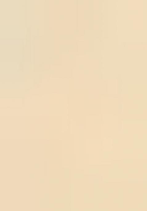 Beige Floral Tussar Saree Set