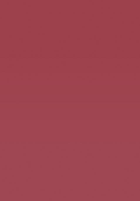 Rust Printed Cotton Saree Set