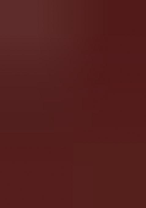 Rust Printed Cotton Saree Set