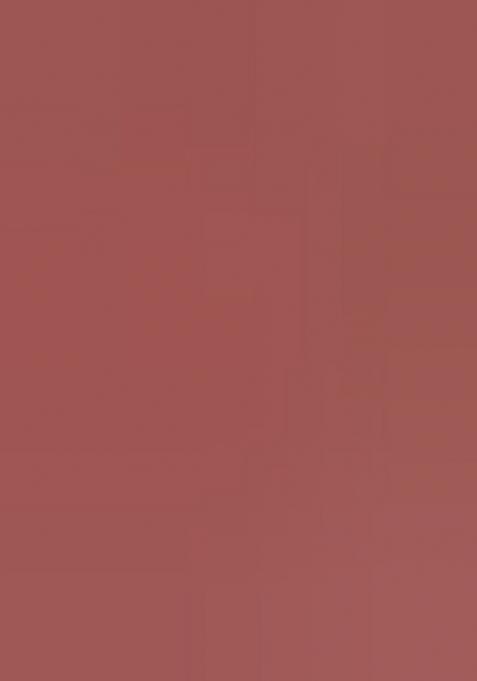 Rust Printed Cotton Saree Set