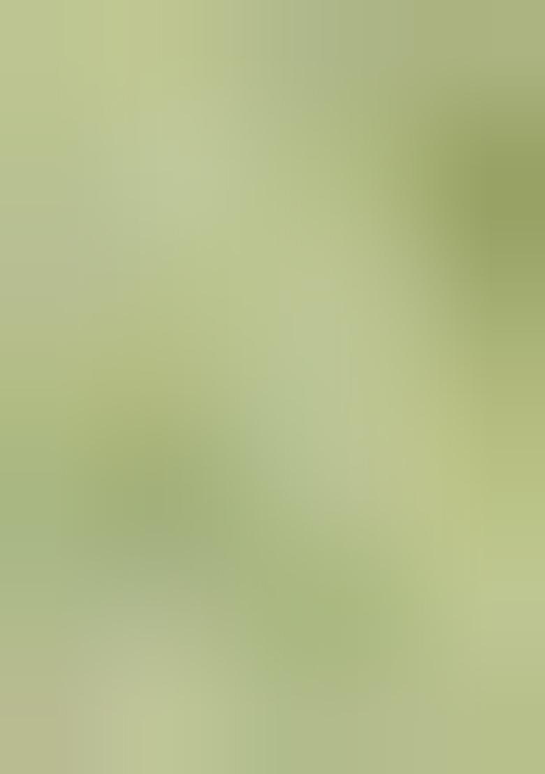 Cream And Sea Green Weaving Border Silk Saree Set - Indya