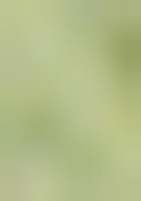 Cream And Sea Green Weaving Border Silk Saree Set